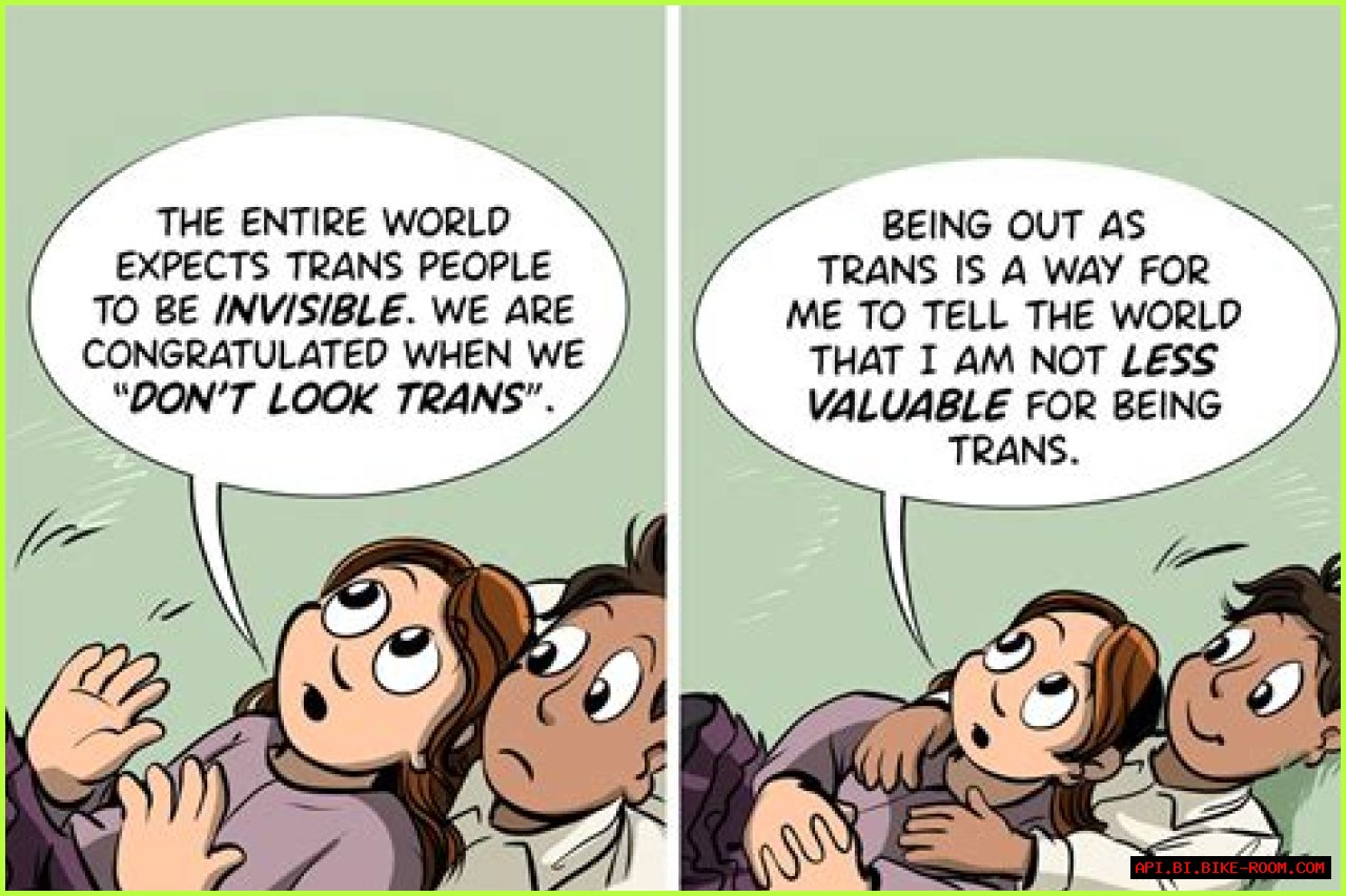 A Window Into Transgender Experiences
