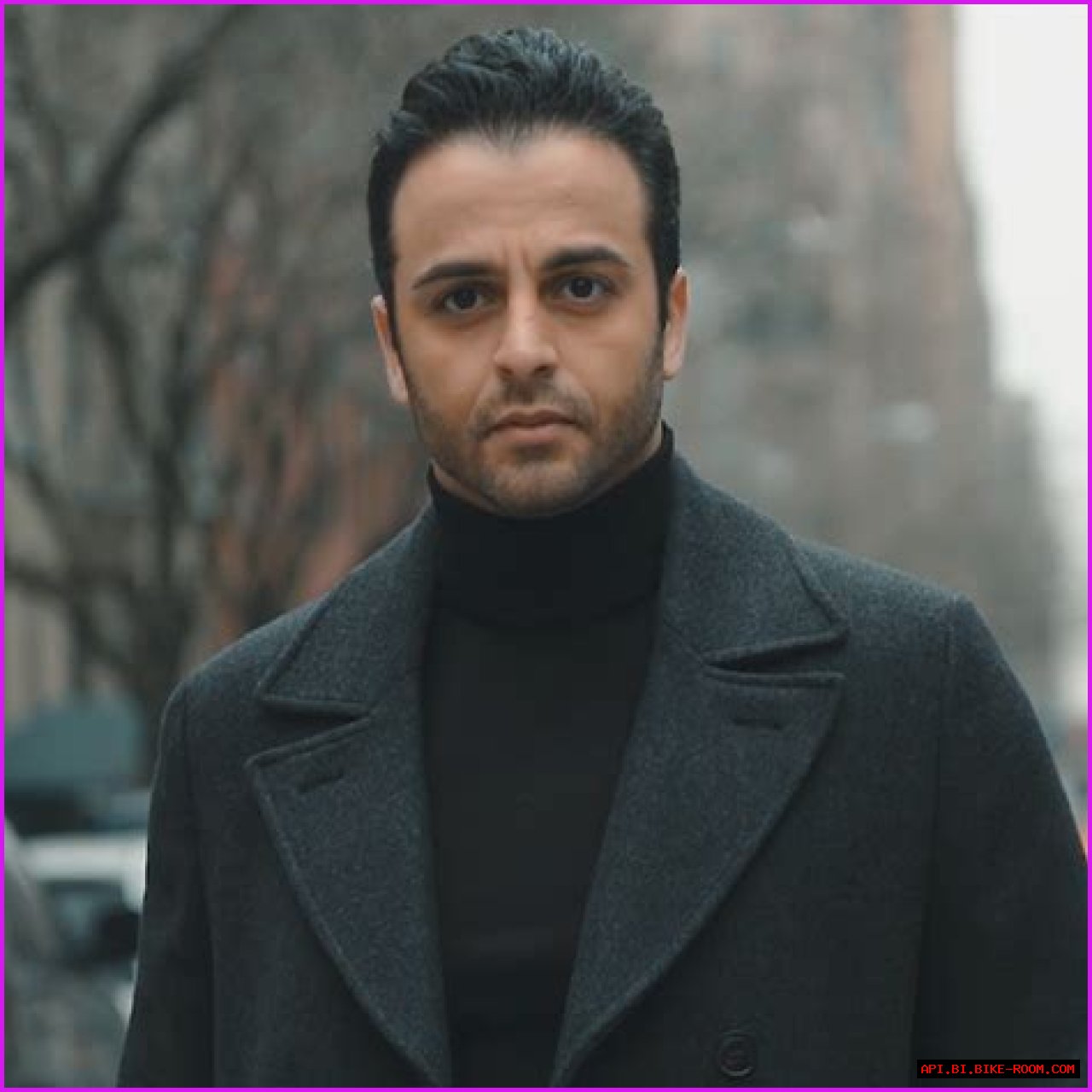 The Ultimate Guide To Understanding Raha Etemadi