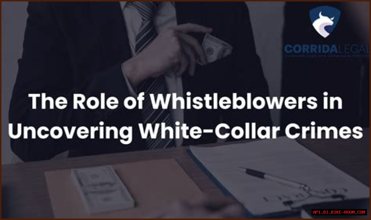 Uncovering White-Collar Crime And Its Impact